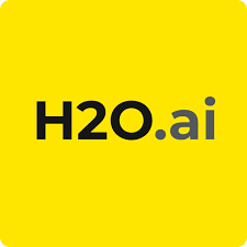 H2O.ai Driverless AI Logo